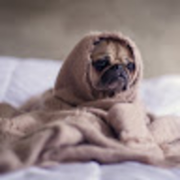 Meet your Posher, Lillian - Picture 1 of 1